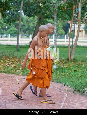 Junge Novizenmönche gehen, aufgenommen in Ayutthaya, Thailand. Stockfoto