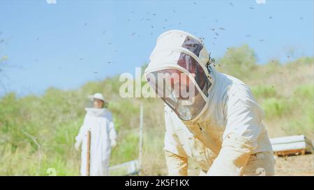 Zwei Imker, die an einem sonnigen Tag auf einem Feld arbeiten Stockfoto