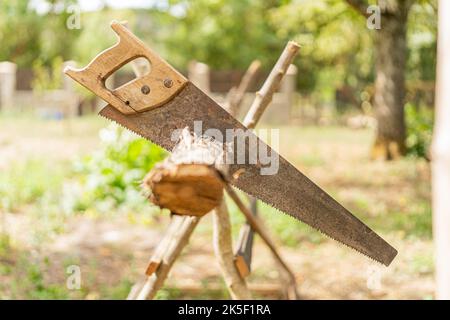 Die Handsäge ist auf einem Balken im Garten festgeklemmt Stockfoto