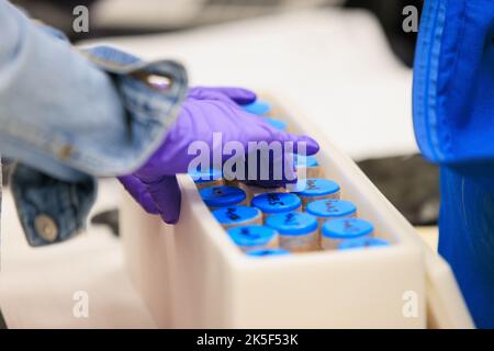 Wissenschaftler verpacken einen Teil des NASA-Biologieexperiments-1 (BioExpt-1) zur offiziellen Übergabe an das Orion-Team für Artemis I in der Raumstation Processing Facility im Kennedy Space Center der Agentur in Florida am 18. August 2022. BioExpt-1 ist ein Pfadfinder für die Weltraumbiologie, der Arabidopsis, Algen, Hefen und Pilze für die Biologieforschung über die Erdumlaufbahn an Bord der Orion-Kapsel auf der Artemis I-Mission transportieren wird. Die Nutzlastcontainer werden auf Paneelen in der Orion-Kapsel installiert und kehren zur Erde zurück, um kritische und einzigartige Daten über Life Be zu liefern Stockfoto