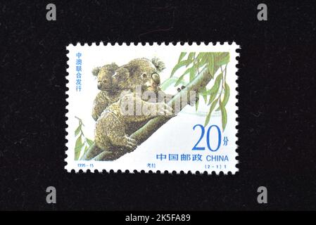 CHINA - UM 1995: Eine in China gedruckte Marke zeigt 1995-15, Scott 2597-98 Seltene Tiere (gemeinsame Ausgabe von China und Australien) Koala Panda , um 1995 Stockfoto