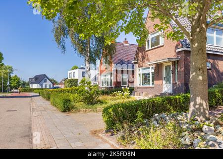Dorfansicht Tolbert mit Reihe von Häusern und Bäumen des kleinen Dorfes Tolbert in der Gemeinde Westerkwartier in der Provinz Groningen Niederlande Stockfoto