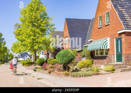 Dorfansicht Tolbert mit Reihe von Häusern und Bäumen des kleinen Dorfes Tolbert in der Gemeinde Westerkwartier in der Provinz Groningen Niederlande Stockfoto