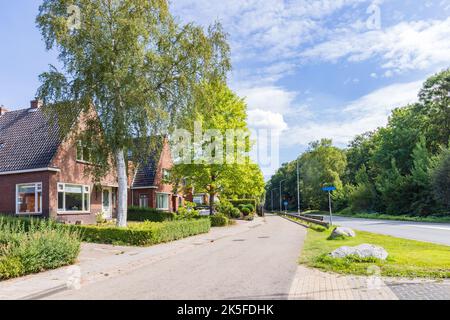 Dorfansicht Tolbert mit Reihe von Häusern und Bäumen des kleinen Dorfes Tolbert in der Gemeinde Westerkwartier in der Provinz Groningen Niederlande Stockfoto