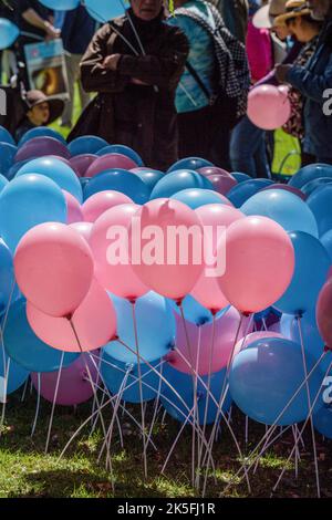 Melbourne, Australien. 08. Oktober 2022. Pinke und blaue Luftballons bei einem Prostreten in Melbourne. Die Pro-Choice-Demonstranten veranstalteten heute Gegen-Kundgebungen, um gegen den Pro-Life-Protest zu protestieren, der von Bennie Finn, Mitglied des Landtags, in der Nähe des landtags organisiert wurde. Bei den Protesten gab es eine große Anzahl von Polizeiauftritten, die Straßen waren blockiert und die Spannungen waren hoch. Kredit: SOPA Images Limited/Alamy Live Nachrichten Stockfoto