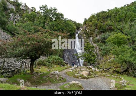 Aber Wasserfall in den nördlichen Ausläufern des Carneddau. Afon Goch’s (Red River). Wales, Großbritannien Stockfoto