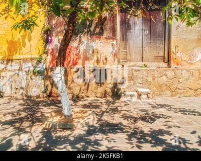 Schatten des Baumes auf dem Kopfsteinpflaster in Hoi an, Vietnam Stockfoto