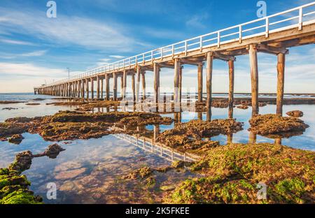 Der felsige Strand rund um den Point Lonsdale Jetty bei Ebbe, Bellarine Peninsula, Port Philip Bay, Victoria, Australien Stockfoto