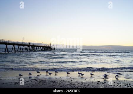 Glenelg Jetty in Südaustralien Stockfoto