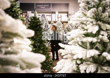 2022-10-08 10:51:15 TAUBEN - Weihnachtsdekorationen im Gartencenter Intratuin. Das Gartencenter präsentierte die Weihnachtstrends 2022 in der jährlichen Weihnachtsshow. ANP JEROEN JUMELET netherlands Out - belgium Out Credit: ANP/Alamy Live News Stockfoto