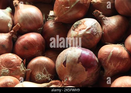 Ein großer Haufen ungeschälter roher gelber Zwiebeln. Das Zwiebelgemüse ist ein biologisch angebautes Produkt. Die spanische Zwiebel oder das Speiseelement hat eine dünne papierige Haut Stockfoto