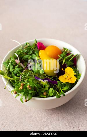 Schüssel mit gesunden, leckeren Mikrogemüse aus Rettich und Erbsen, Koriander und Kreuzkümmel, Sonnenblumen- und Flachs- und Kirschtomaten Stockfoto