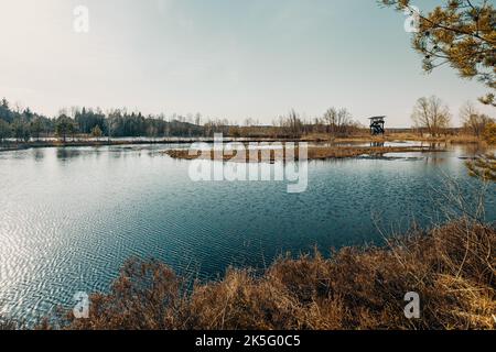 Die Moorlandschaft in Weidmoos, Salzburg Österreich Stockfoto