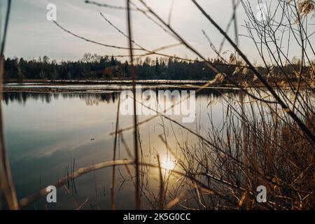 Sonnenspiegelung im Weidmoos See, Salzburg Österreich Stockfoto