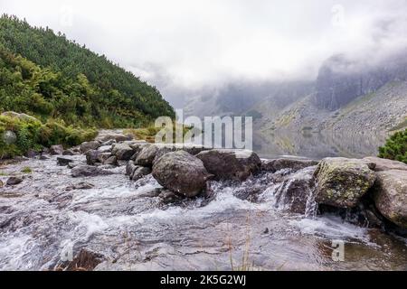 Tolle Aussicht mit einem kleinen Bergwasserfall in der polnischen Tatra und großen Bergen im Hintergrund mit grünen Bäumen Stockfoto