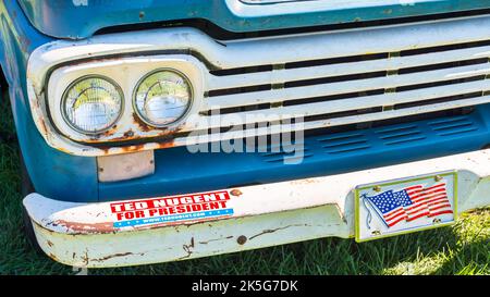 FRANKENMUTH, MI/USA - 13. SEPTEMBER 2015: „Ted Nugent for President“-Stoßstangenaufkleber auf einem Ford-Pickup-Truck von 1959, Frankenmuth Auto Fest, Heritage Park. Stockfoto