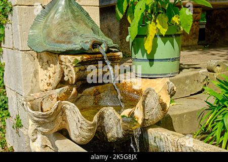 Plattfisch und Muschelschale, Brunnendetail, Römische Bäder im Sanssouci Park, Potsdam, Brandenburg, Deutschland. Stockfoto