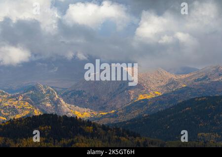 Im Herbst verwandeln sich im Bergbaugebiet Victor / Cripple Creek Aspen-Bäume in Gold Stockfoto