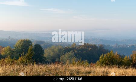 Atmosphärische hügelige ländliche Landschaft mit Morgennebel im Herbst, Hügel mit Wald überwuchert Stockfoto