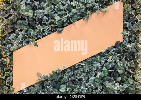 Modell. Blank beige Werbeschilder, Informationboard auf Pflanzen verlässt Wandhintergrund Stockfoto