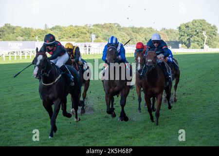 Ascot, Bergen, Großbritannien. 1.. Oktober 2022. Horse Dream Composer unter Jockey Mollie Phillips gewinnt die Peroni Nastro Azzurro Handicap Stakes bei Ascot Races. Das war Mollie's 51. Sieg. Besitzer Peter Clarke Racing Partners. Trainer James Evans, Kinnersley. Züchter Khalifa Dasmal. Quelle: Maureen McLean/Alamy Stockfoto