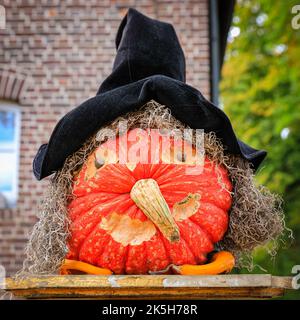 Haltern, Deutschland. 08. Oktober 2022. Eine dekorative Kürbisgesicht Hexe für Halloween. Der Landhof Hawig, ein Bauernhof in der Nähe von Haltern im Münsterland, produziert jährlich bis zu 300 verschiedene Kürbissorten und verkauft sie an die Öffentlichkeit, serviert aber auch eine Vielzahl traditioneller Kürbiskuchen und Gerichte in seinem Café. Kredit: Imageplotter/Alamy Live Nachrichten Stockfoto