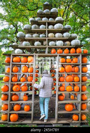 Haltern, Deutschland. 08. Oktober 2022. Gisela, die das Kürbishaus bewundert, ist aus dem nahe gelegenen Dortmund angereist, um auf dem Hof Kürbisse zu kaufen. Der Landhof Hawig, ein Bauernhof in der Nähe von Haltern im Münsterland, produziert jährlich bis zu 300 verschiedene Kürbissorten und verkauft sie an die Öffentlichkeit, sowie serviert in seinem Café eine Vielzahl traditioneller Kürbisgerichte. Kredit: Imageplotter/Alamy Live Nachrichten Stockfoto