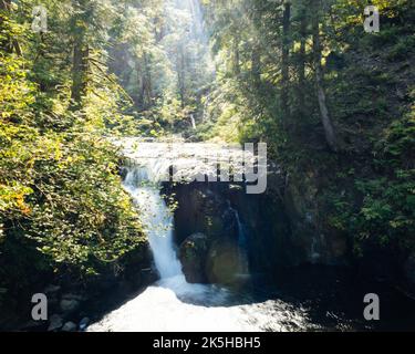 Eine malerische Aussicht auf einen kleinen Wasserfall im Wald unter dem Sonnenlicht Stockfoto