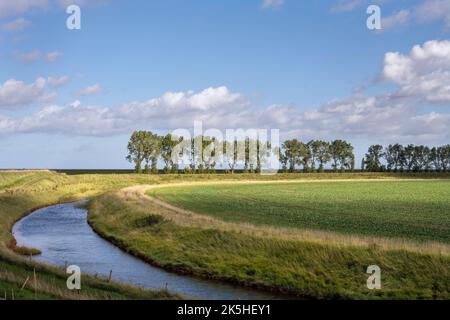 Landschaft in den Fens, Kanal, Feld und Bäume an einem Herbsttag, Lincolnshire, East Midlands, England Stockfoto