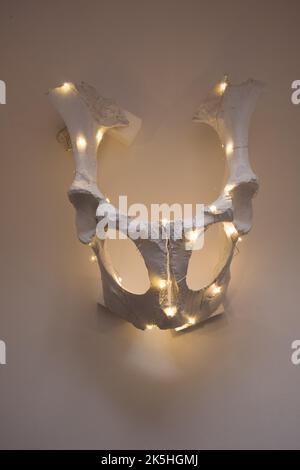Halloween Kuhschädel mit Girlande Lichter innen auf weißem Hintergrund. Halloween-Dekorationen. Stockfoto