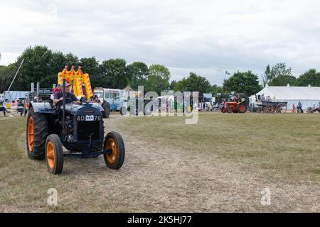 Ilminster.Somerset.Vereinigtes Königreich.August 21. 2022.Ein restaurierter Standard Fordson wird bei einer Yesterdays Farming-Veranstaltung durch die Arena gefahren Stockfoto