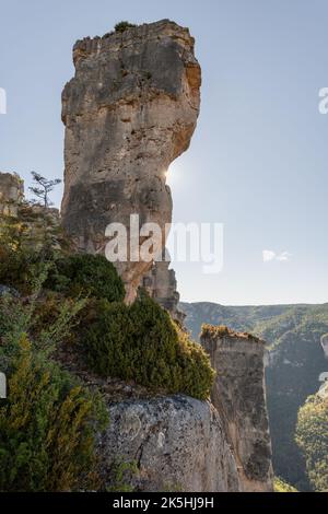 Spektakulärer Felsen in den Gorges de la Jonte im Nationalpark Cevennes. Aveyron, Frankreich. Stockfoto