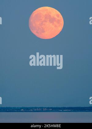 Warden Bay, Kent, Großbritannien. 8. Oktober 2022. Wetter in Großbritannien: Der fast volle Hunter's Moon, der über der Kent-Küste über Margate und Reculver aufsteigt, wurde von Warden Bay, Kent, aufgenommen. Kredit: James Bell/Alamy Live Nachrichten Stockfoto