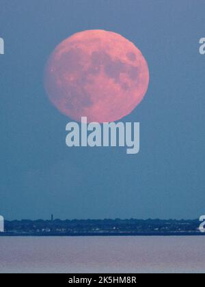 Warden Bay, Kent, Großbritannien. 8. Oktober 2022. Wetter in Großbritannien: Der fast volle Hunter's Moon, der über der Kent-Küste über Margate und Reculver aufsteigt, wurde von Warden Bay, Kent, aufgenommen. Kredit: James Bell/Alamy Live Nachrichten Stockfoto