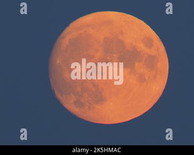 Warden Bay, Kent, Großbritannien. 8. Oktober 2022. Wetter in Großbritannien: Der fast volle Hunter's Moon, der über der Kent-Küste über Margate und Reculver aufsteigt, wurde von Warden Bay, Kent, aufgenommen. Kredit: James Bell/Alamy Live Nachrichten Stockfoto