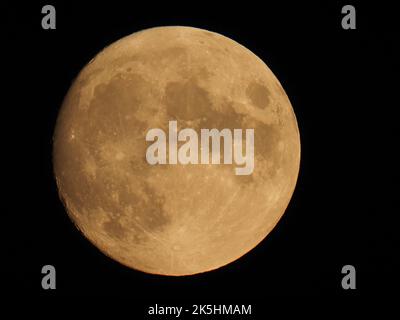 Warden Bay, Kent, Großbritannien. 8. Oktober 2022. Wetter in Großbritannien: Der fast volle Hunter's Moon, der über der Kent-Küste über Margate und Reculver aufsteigt, wurde von Warden Bay, Kent, aufgenommen. Kredit: James Bell/Alamy Live Nachrichten Stockfoto