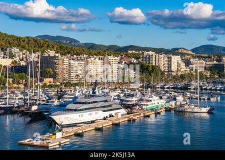 Marina und Hafen in Palma De Mallorca, Spanien, Europa Stockfoto