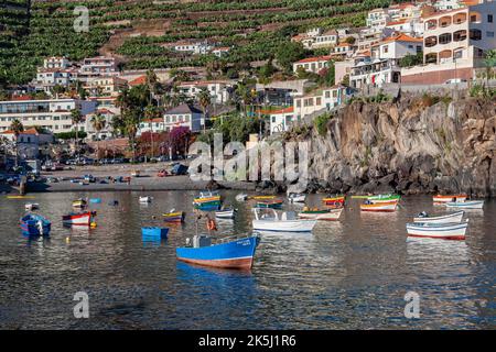 Camara de Lobos, bunte Fischerboote im Hafen, altes Fischerdorf, Südküste, Madeira, Portugal Stockfoto