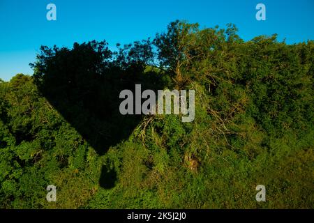 Frankreich, Essonne (91), Chalou-Moulineux, Luftaufnahme des Schattens eines Heißluftballons am Waldrand Stockfoto