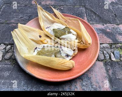 Zwei Oaxacan-Tamales auf einem Tonteller, der mit Hoja santa hergestellt und mit Bohnen gefüllt wurde Stockfoto
