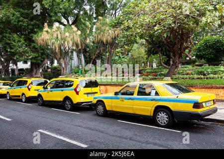 Warten die Taxis in der Avenida Arriaga in der Altstadt von Funchal, Santa Luzia, Funchal, Madeira, Portugal Stockfoto