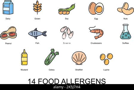 14 Lebensmittelallergene. Satz von Farbsymbolen von grundlegenden Allergenen . Vektorgrafik Stock Vektor