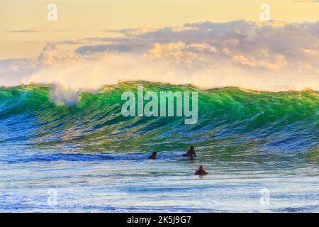 Aktive Boardsurfer schwimmen vor der smaragdgrünen Welle vor den nördlichen Stränden von Sydney an der australischen Pazifikküste. Stockfoto