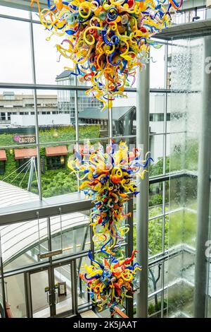 Eine Chihuly Glasskulptur hängt in der Lobby der Lincoln Square Mall in Bellevue, Washington, einem Vorort von Seattle. Stockfoto