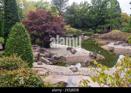 Toller Blick auf den japanischen Garten in Bonn mit Teich mit Koi Karpfen und japanischem Ahorn und Laterne und ston Banken Stockfoto