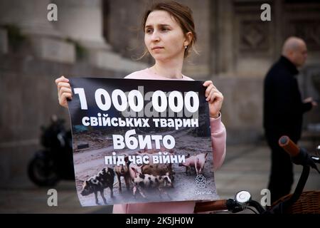 Warschau, Polen. 08. Oktober 2022. Etwa hundert Menschen sammeln sich, um auf die Behandlung von Tieren aufmerksam zu machen, die durch den Konflikt in der Ukraine während der russischen Invasion in Warschau, Polen, am 08. Oktober 2022 geschädigt wurden. (Foto von Jaap Arriens/Sipa USA) Quelle: SIPA USA/Alamy Live News Stockfoto