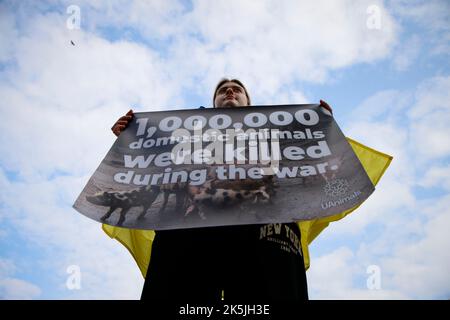 Warschau, Polen. 08. Oktober 2022. Etwa hundert Menschen sammeln sich, um auf die Behandlung von Tieren aufmerksam zu machen, die durch den Konflikt in der Ukraine während der russischen Invasion in Warschau, Polen, am 08. Oktober 2022 geschädigt wurden. (Foto von Jaap Arriens/Sipa USA) Quelle: SIPA USA/Alamy Live News Stockfoto