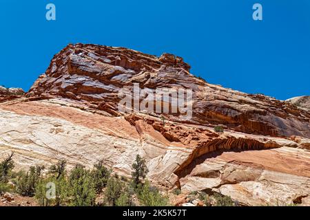 Chinle Formationen in der Nähe der Capitol Gorge Trailhead am Capitol Reef National Park in Utah, USA Stockfoto