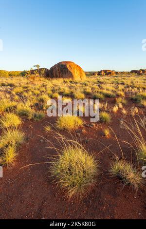 Vertikale Ansicht von Spinifex und roter Erde vor einem erodierten Granitfelsen bei Devil's Marbles, einem beliebten Touristenziel, Northern Territory, N Stockfoto