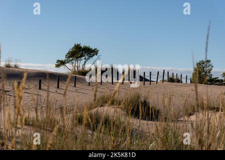 Seilzaun mit Holzpfosten an einem Sandstrand mit Dünen in Yyteri, Pori, Finnland Stockfoto